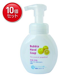 【最安挑戦！まとめ買い×10点セット】第一石鹸 薬用 泡 ハンドソープ 本体 250mL 医薬部外品