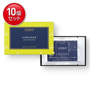 yňI܂Ƃߔ×10_Zbgz{ ESTEBAN J[htOX AO[ 5