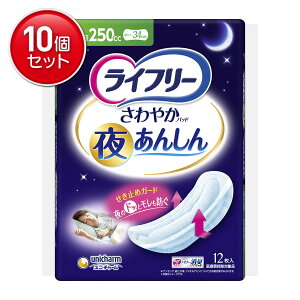 yňI܂Ƃߔ×10_ZbgzjE`[ Ct[ ₩pbh 邠񂵂 p 250cc 12 p ARpbh