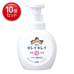 yňI܂Ƃߔ×10_ZbgzCI LCLC p Anh\[v { ^TCY VgXt[eB̍ 500ml@(4903301269052)