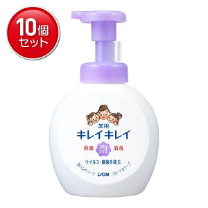 yňI܂Ƃߔ×10_ZbgzCI LCLC p Anh\[v {̑^TCY t[\[v̍ 500ml@(4903301269069)