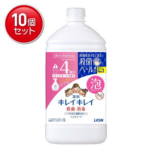 yňI܂Ƃߔ×10_ZbgzCI LCLC p A nh\[v ߂p TCY VgXt[eB 800ml