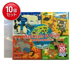 yňI܂Ƃߔ×10_Zbgza ɗ |PbgeBV Aj}&tBbV 20pbN