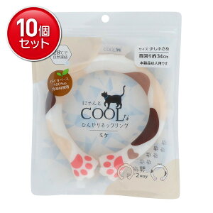 yňI܂Ƃߔ×10_ZbgzcY ɂƃN[ȂЂlbNN[O ~P lbNN[[