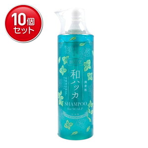 yňI܂Ƃߔ×10_ZbgzRXebNX[h f anbJ XJv Vv[ 485ml