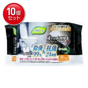 yňI܂Ƃߔ×10_ZbgzaH N[i 99% 唻 gCN[i 10