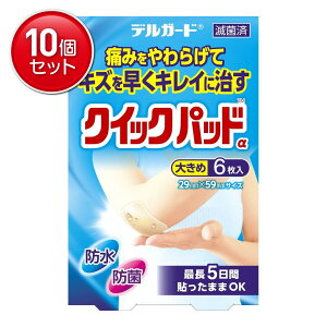 yňI܂Ƃߔ×10_Zbgzh fK[h NCbNpbh 傫 6 Jnp