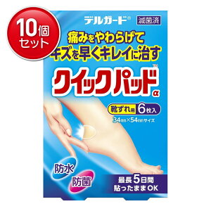 yňI܂Ƃߔ×10_Zbgzh fK[h NCbNpbh Cp Jnp 6