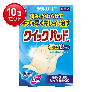 yňI܂Ƃߔ×10_Zbgzh fK[h NCbNpbh 傫 Jnp 12