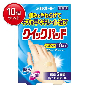 yňI܂Ƃߔ×10_Zbgzh fK[h NCbNpbh X|bg Jnp 10