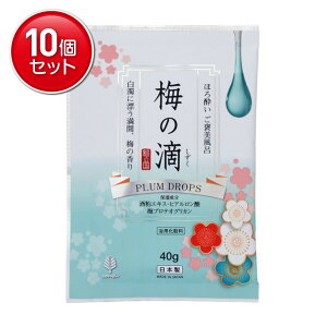 yňI܂Ƃߔ×10_ZbgzIze m{s ق됌 JC  ~̓H 40g