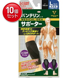 yňI܂Ƃߔ×10_Zbgza oe R[ T|[^[ ӂ͂ AVXg 傫߃TCY 2 ( ubN L T|[g )