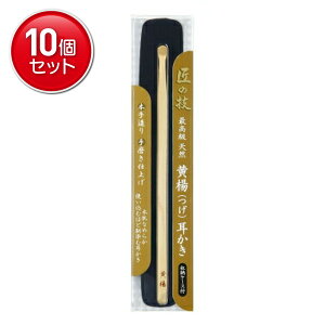 yňI܂Ƃߔ×10_Zbgz̋Z k P[Xt @(4972525533614)