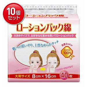 yňI܂Ƃߔ×10_ZbgzێOY [VpbN 唻TCY 40 傫߃TCYłDȉϐpă[VpbN VRRbg100% 16cmX悱8cm@ ܂Ƃߔ