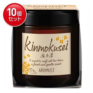 yňI܂Ƃߔ×10_Zbgz A}Xg LNZC 160mL F L