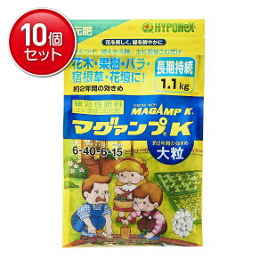 yňI܂Ƃߔ×10_ZbgznC|lbNX }O@vK 嗱 1.1kg Ԗ؁EʎEoEhEԒd 