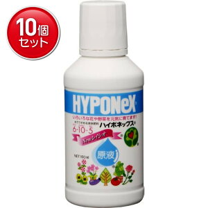 yňI܂Ƃߔ×10_ZbgznC|lbNX nC|lbNXt6 10 5 160ml Ŕ߂Ďgt (K[fjO ƒ؉)@(4977517180012)