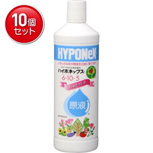 yňI܂Ƃߔ×10_ZbgznC|lbNX nC|lbNXt6 10 5 { 800ml Ŕ߂Ďgt @(4977517180036)