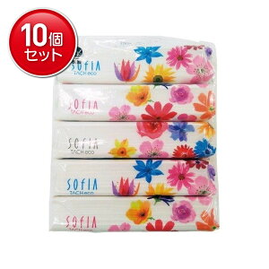 yňI܂Ƃߔ×10_Zbgz}XR[ \tBA^b`GR \tgpbNeBbV 150g×5pbN