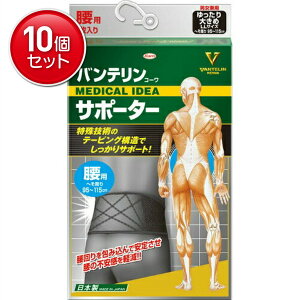 yňI܂Ƃߔ×10_Zbgzoe T|[^[ p ubN 傫߃TCY 95 115CM 1@(4987067452903)