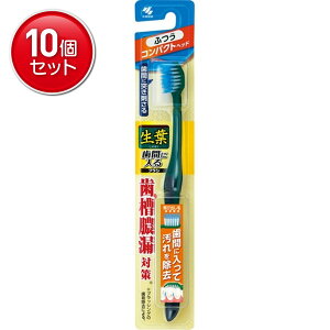 yňI܂Ƃߔ×10_Zbgzѐ tԂɓuV RpNg ӂ ( e:1{ ) @ ( 4987072043257 )