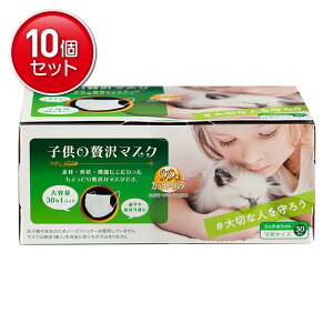 �q�����ґ�}�X�N 30���� 10�Z�b�g
