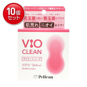 �y�ň�����I�܂Ƃߔ���×10�_�Z�b�g�z�y���J���Ό� VIO CLEAN �f���P�[�g�\�[�v 105g