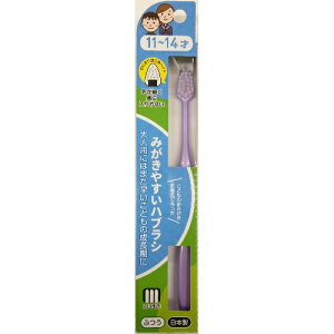 【まとめ買い×3点セット】ライフレンジ みがきやすい ハブラシ 11-14才 LT-40 ふつう こども用 ※色は選べません