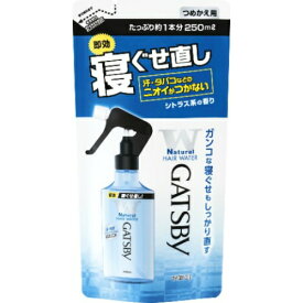 マンダム ギャツビー 寝ぐせ直し ウォーター つめかえ用 250ml