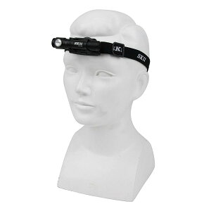 yE܂Ƃߔ×10ZbgzY SK11 dr LED wbhCg SLH-008