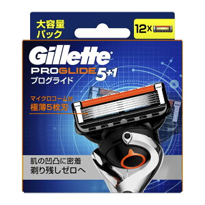 �y�������z P&G �W���b�g �v���O���C�h �}�j���A�� �֐n 12B 12�� 1��