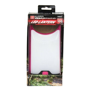 Y SK11 drX^ SLT-100DB-PK