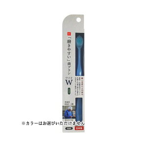 yE܂Ƃߔ×12ZbgzCtW LT-54 ₷ uV Ch ӂ J[͂Iт܂B