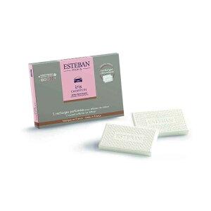 【送料込・まとめ買い×5個セット】日本香堂 ESTEBAN エステバン イリスカシミア カーフレグランス リフィル 2個入り カーフレグランス専用リフィル