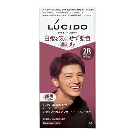 【送料込・まとめ買い×8点セット】マンダム LUCIDO ルシード デザインヘアカラー 2R ボルドーブラウン 白髪用 ヘアカラー 男性用