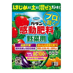 yȂ莟Izt}L[ J_ 엿 ؗp 500g