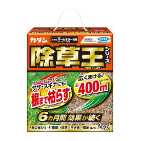 【令和・早い者勝ちセール】フマキラー カダン 除草王 オールキラー粒剤 2kg