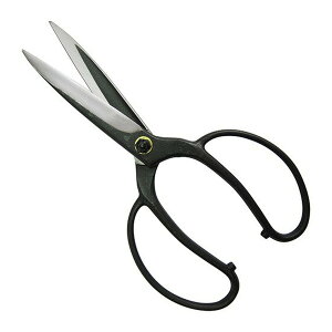 gn No204 A؃nT~ lW BP