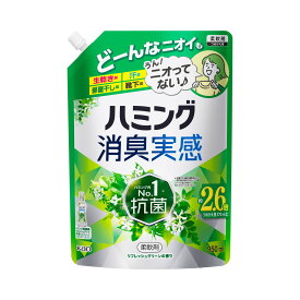 花王 ハミング 消臭実感 リフレッシュグリーンの香り つめかえ用 950mL 柔軟剤
