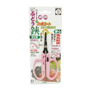 yE܂Ƃߔ×5ZbgzT{e  tbf Ԃǂ n B-6M