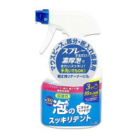 【夜の市★合算2千円超で送料無料対象】ライオンケミカル 泡のスッキリデント スプレー 本体 300mL ミン…