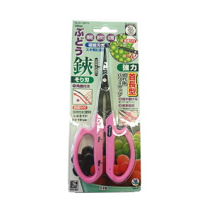 yE܂Ƃߔ×5ZbgzSaboten T{e ԂǂnT~񒷐ׂn No.B-1MFPL