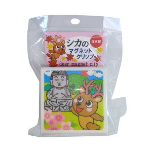 y×6 z܂zAkV VJ̃}OlbgNbv Ƒ啧Ep