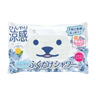 ときわ商会 ひんやり ふくだけ シャワー 10枚入　ミント＆グレープフルーツの香り（厚手大判タオルシート…