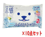 【送料込・まとめ買い×10】ときわ商会 ひんやり ふくだけ シャワー 10枚入×10点セット　ミント＆グレー…