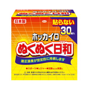 【数量限定】興和 ホッカイロ ぬくぬく日和 30コ入 貼らない レギュラー ( 4987067829309 )※パッケージ変更の場合あり