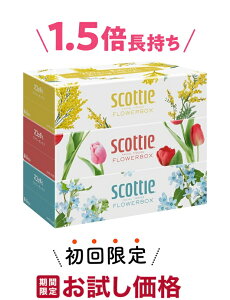 yEwzye250gz{NVA XRbeB t[{bNX 500i250gj×3 {bNXeBbV(v1500E750g)@i4901750413309j߂̍wҌ艿i