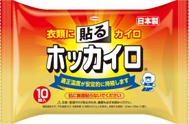 【令和・早い者勝ちセール】興和　ホッカイロ　貼るレギュラー10個入り ( 衣類に貼るカイロ ) ( 4987067826902 )※無くなり次第終了