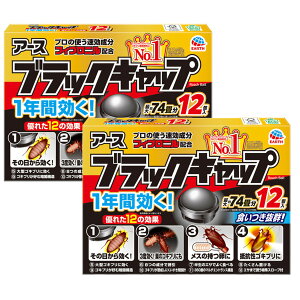 ypE2PzA[X ubNLbv 12×2pbN hp򕔊Oii4901080208002jpbP[WύX̏ꍇ