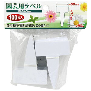 yzZteB[3 |px T^100 `E 1